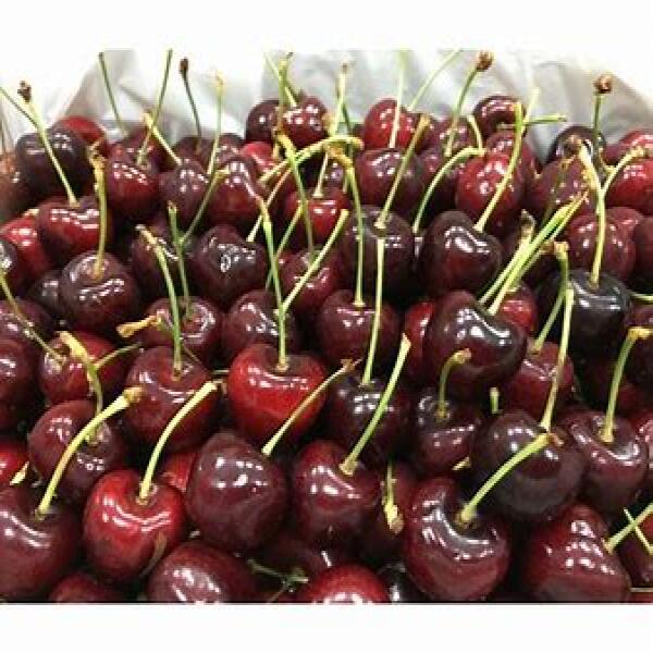 Cách chọn mua và bảo quản cherry New Zealand tươi ngon nhất