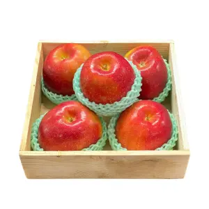 hop-qua-tao-ever-crisp-my-05-qua-900-900-18deab6d27304ee78e65e63160fb1dd7-master